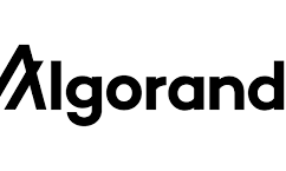 Algorand Kurs 2025 - Få Kursen I Realtid - Se Kursudviklingen