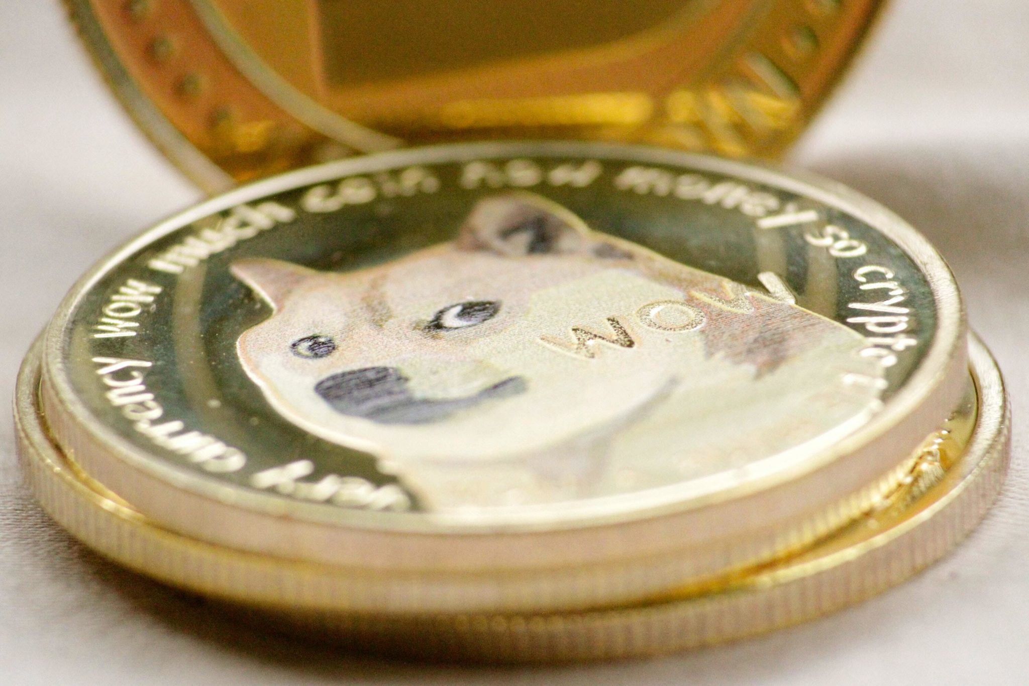 Dogecoin Scaled